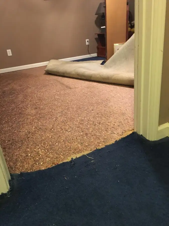 Carpet pad removal revealing water damage during Drying & Dehumidification in West Rockhill